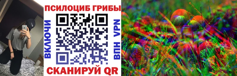 цены   Шатура  Псилоцибиновые грибы MAGIC MUSHROOMS 